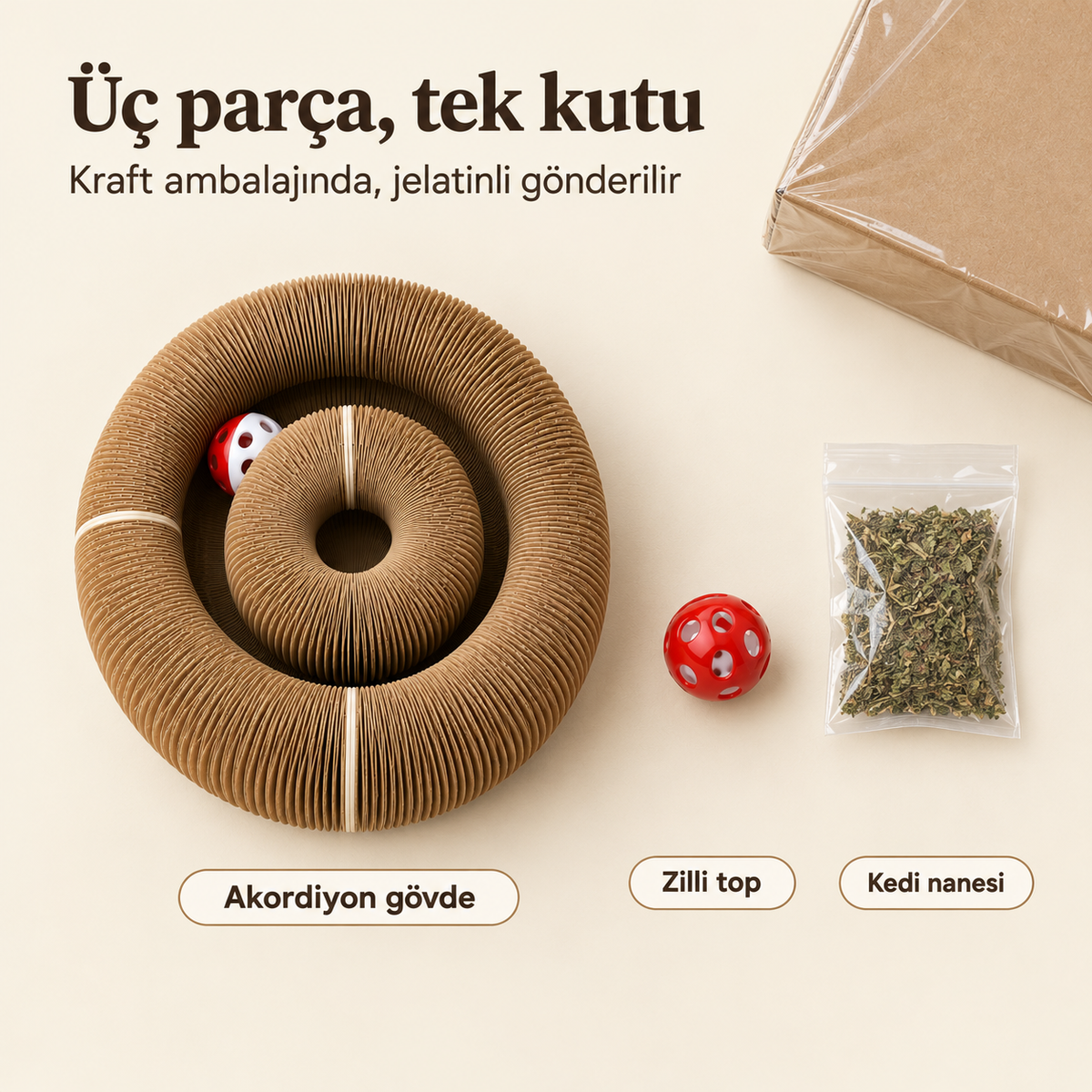 Akordiyon kedi tırmalama oyuncağı